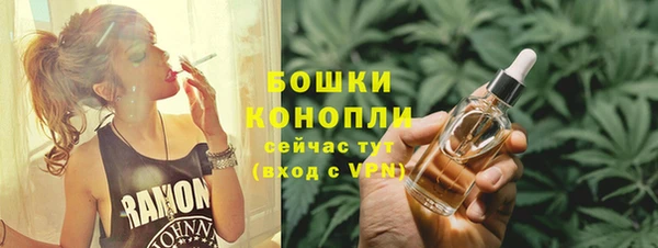 крисы Верхний Тагил