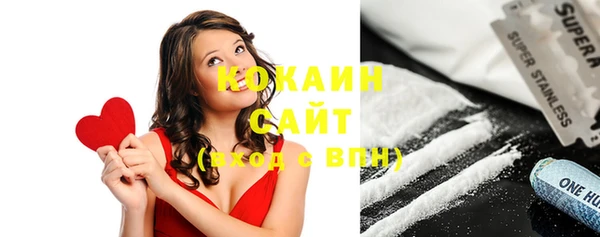 крисы Верхний Тагил
