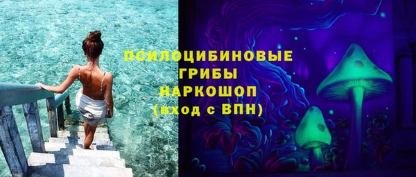 крисы Верхний Тагил