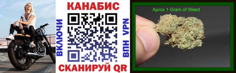 Конопля SATIVA & INDICA  Москва 